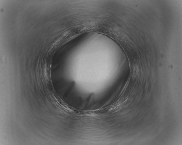 X0000071811250200607141601