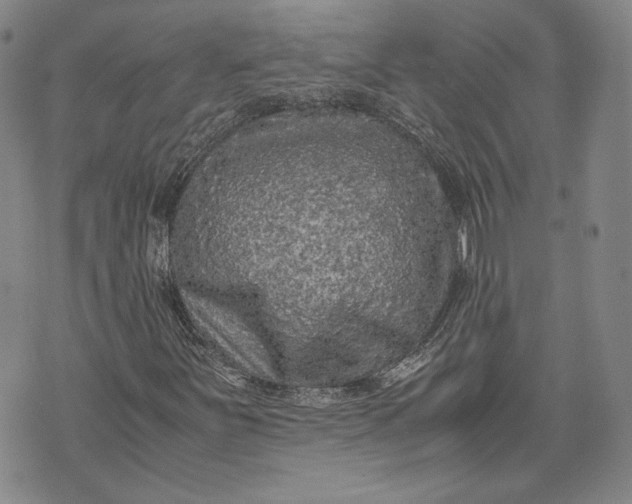 X0000071811251200607141601