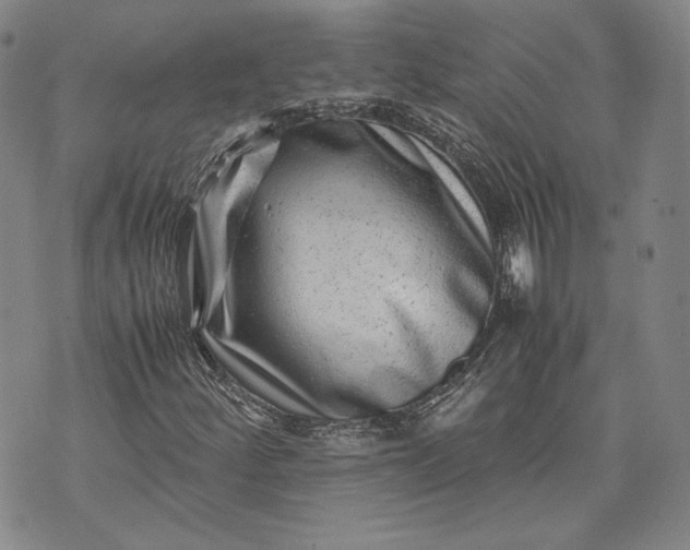 X0000071811252200607141601