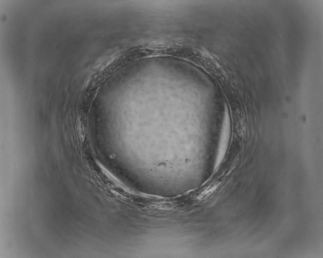 X0000071811253200607141601