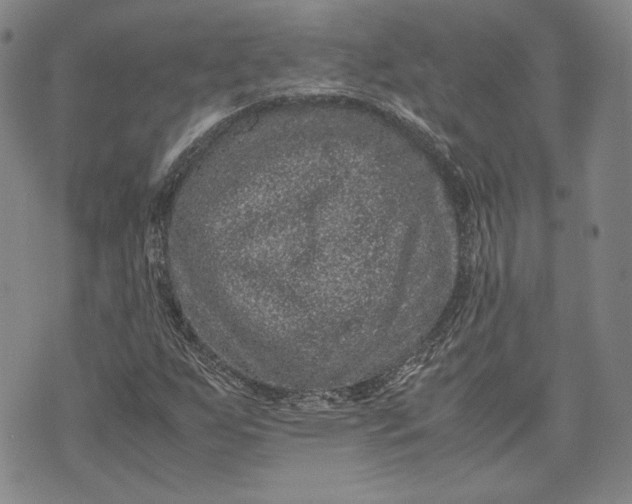 X0000071811255200607141601