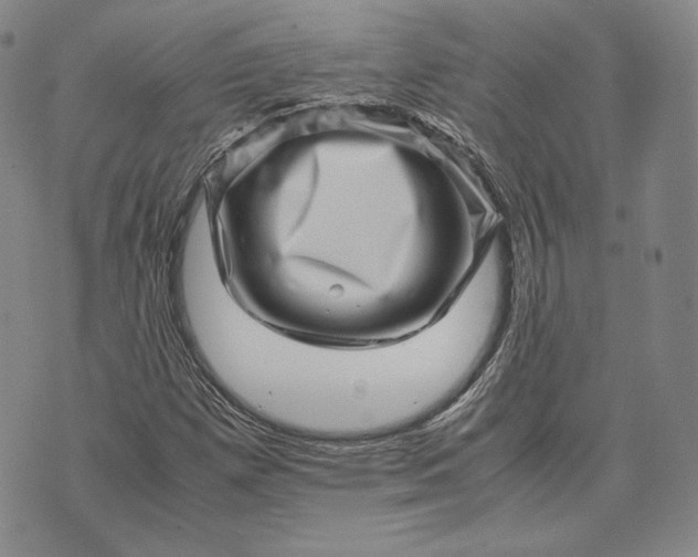 X0000071811257200607141601