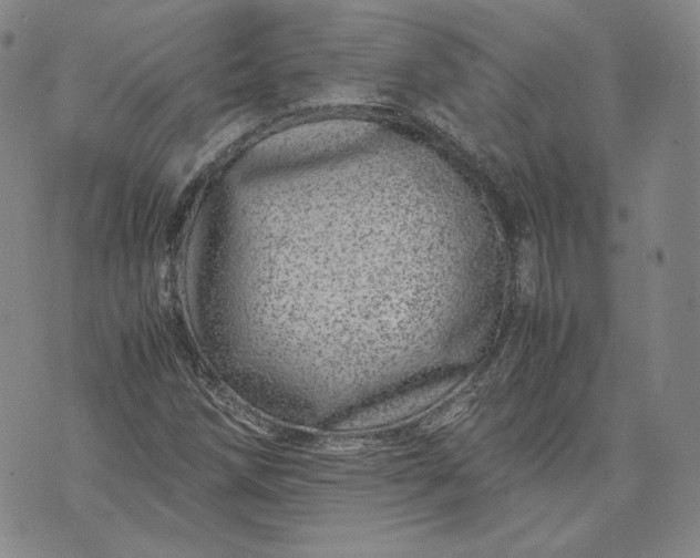 X0000071811258200607141601