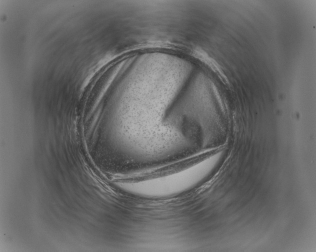 X0000071811260200607141601