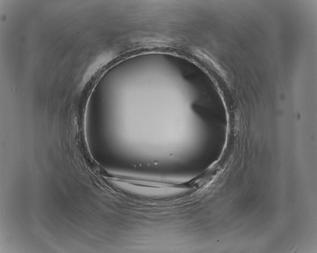 X0000071811261200607141601