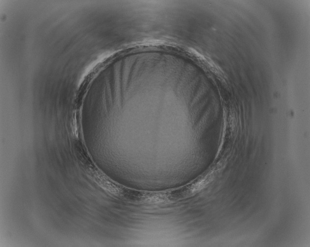 X0000071811262200607141601