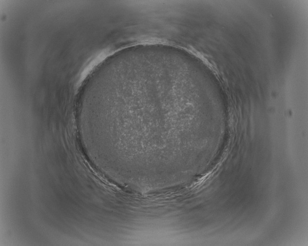 X0000071811263200607141601