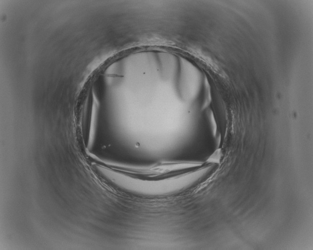 X0000071811264200607141601