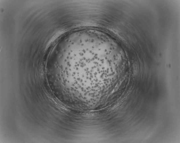 X0000071811266200607141601