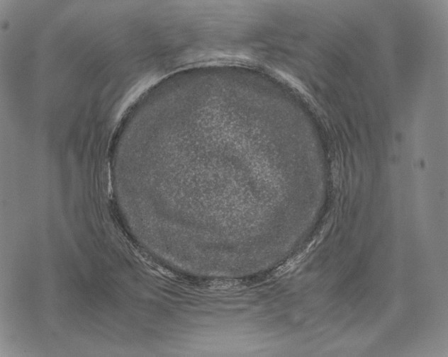 X0000071811267200607141601