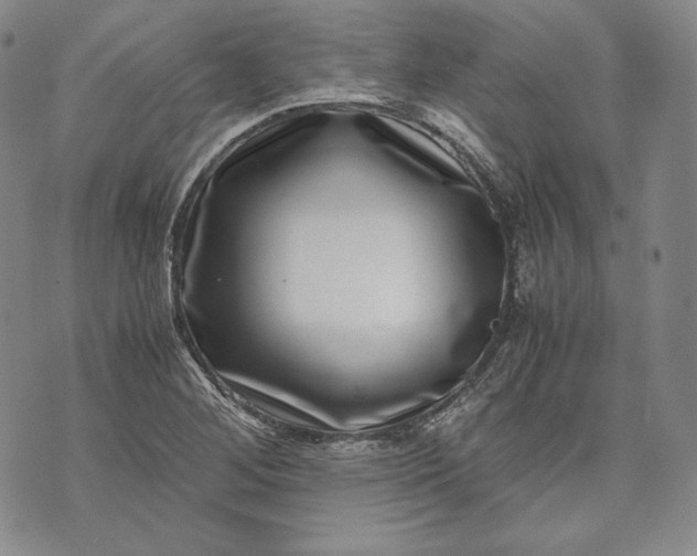 X0000071811268200607141601