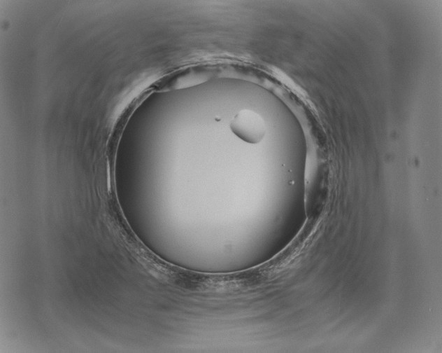 X0000071811269200607141601