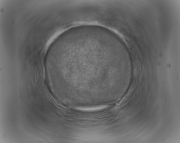 X0000071811271200607141601