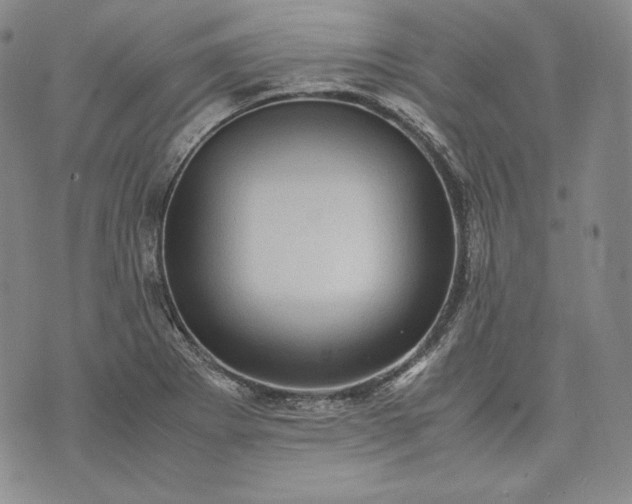 X0000071811273200607141601