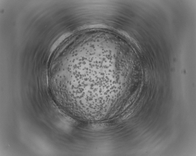 X0000071811274200607141601