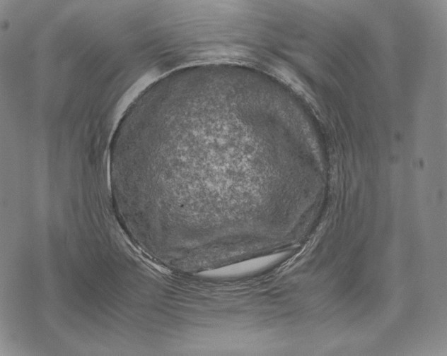 X0000071811275200607141601