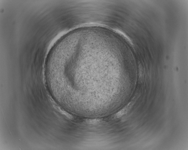 X0000071811278200607141601