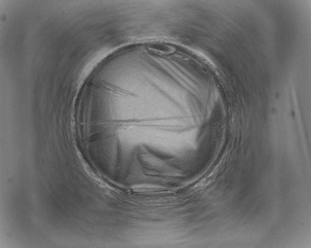 X0000071811279200607141601