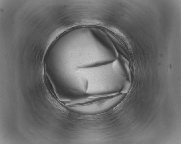 X0000071811280200607141601