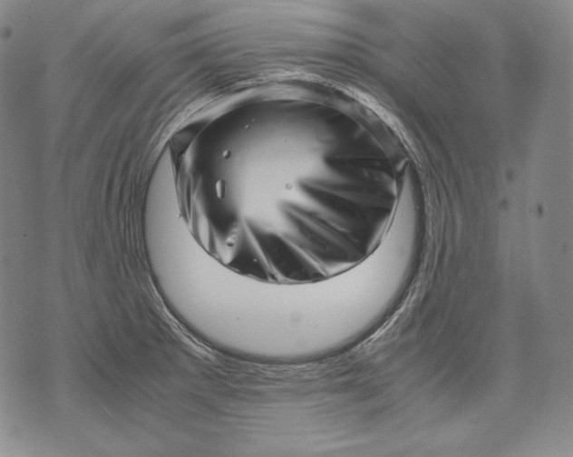 X0000071811281200607141601