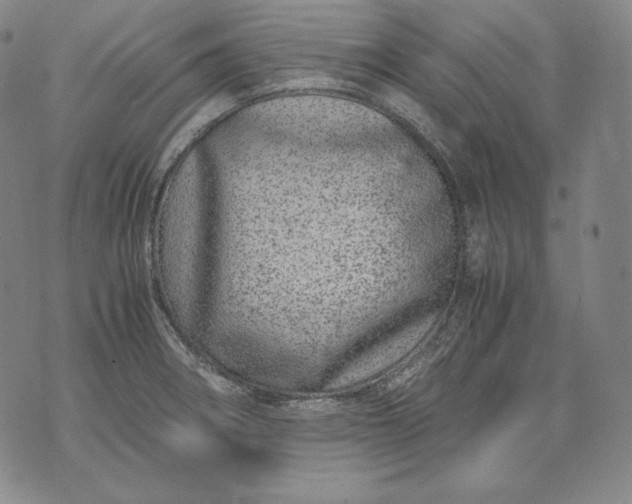 X0000071811282200607141601