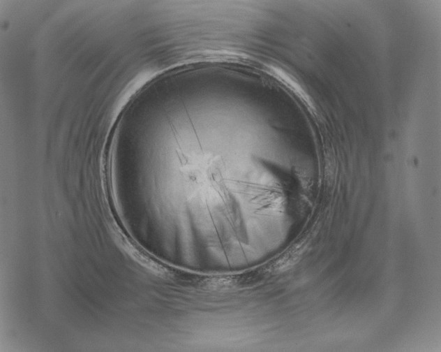 X0000071811283200607141601