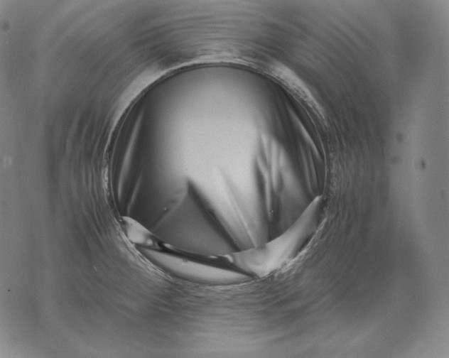 X0000071811284200607141601