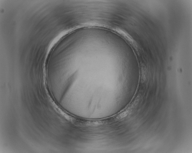 X0000071811286200607141601