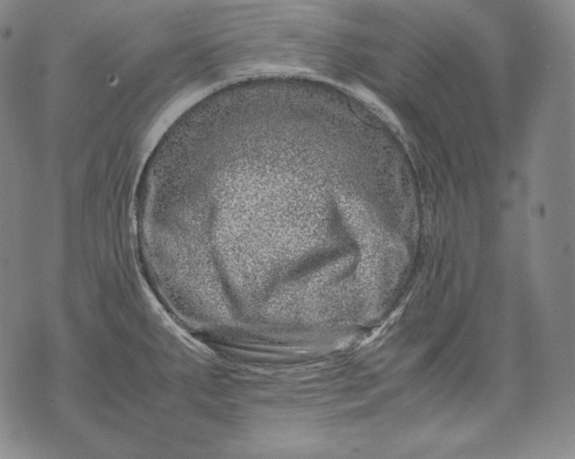 X0000071811287200607141601