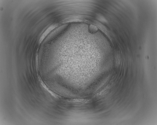 X0000071811290200607141601