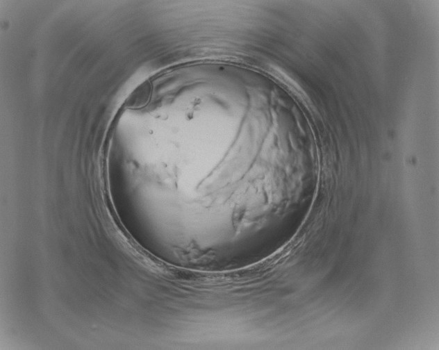 X0000071811291200607141601