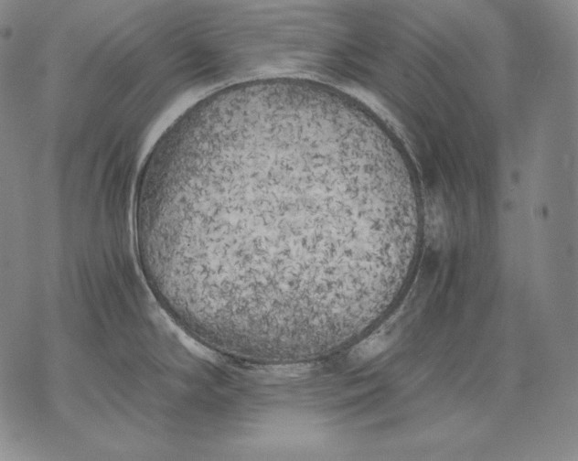 X0000071811294200607141601