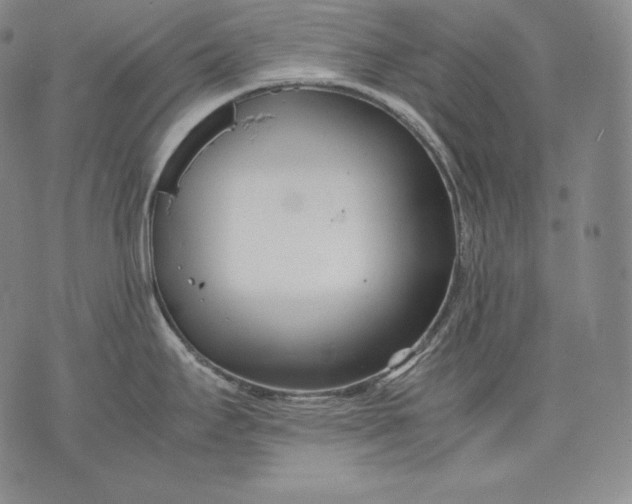 X0000071811295200607141601