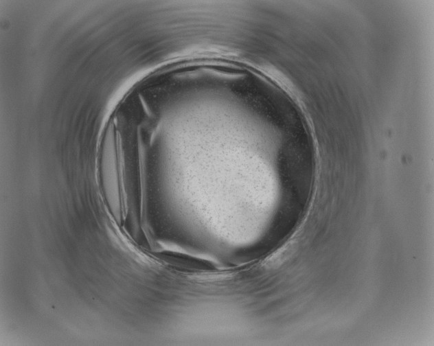 X0000071811296200607141601