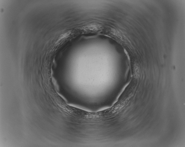 X0000071811297200607141600