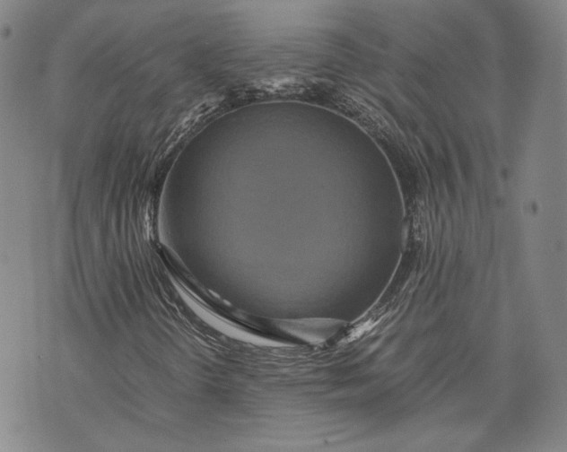 X0000071811298200607141600