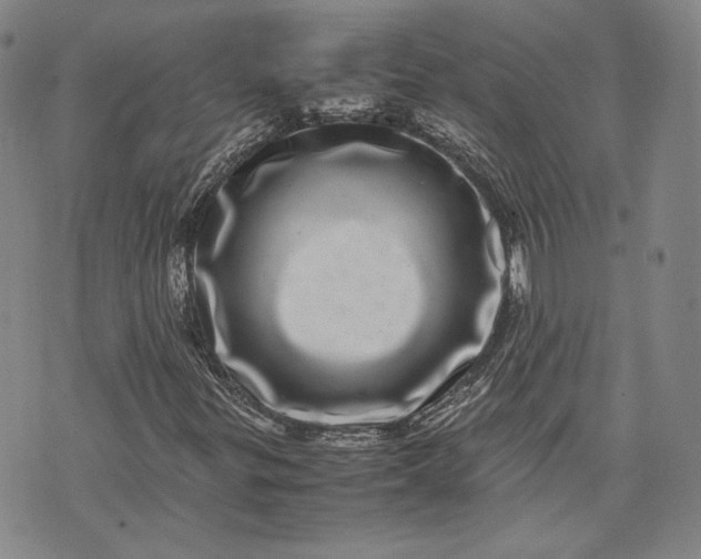 X0000071811299200607141600