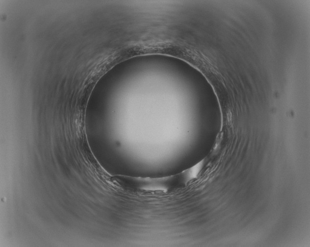 X0000071811300200607141600