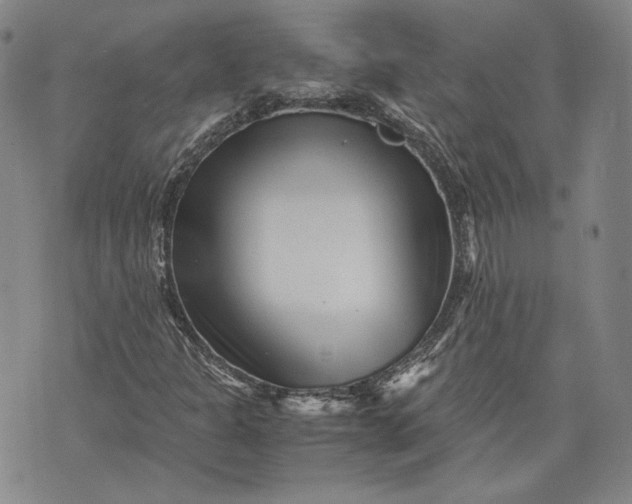 X0000071811301200607141600