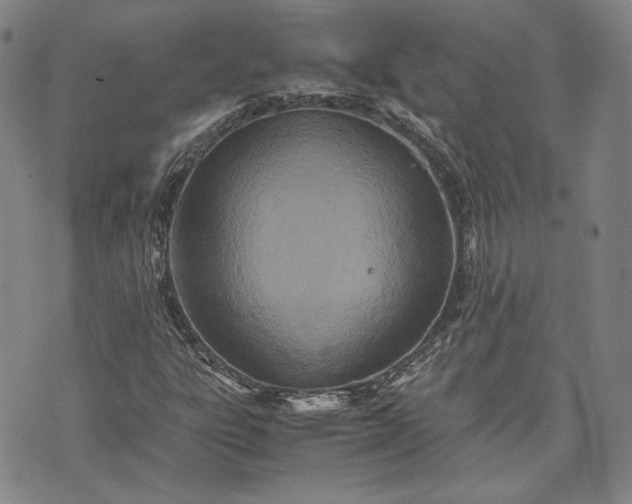 X0000071811303200607141600