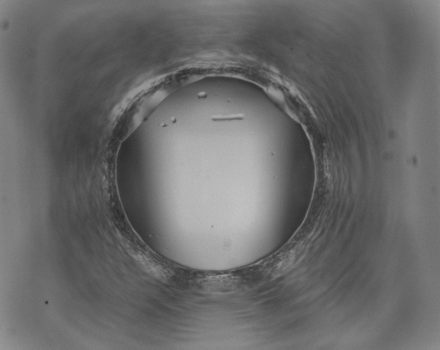 X0000071811304200607141600