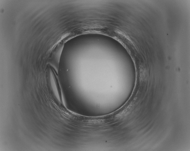 X0000071811305200607141600