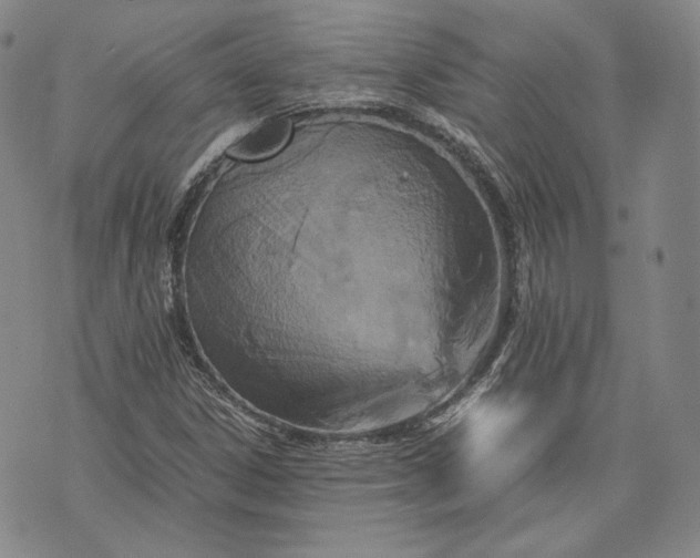 X0000071811306200607141600