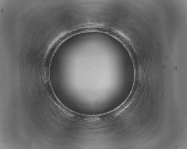 X0000071811310200607141600