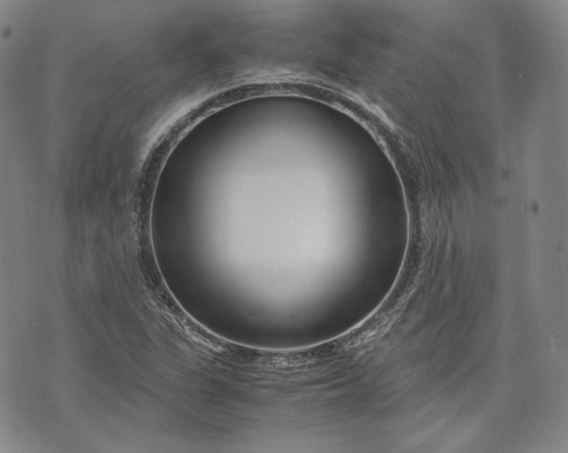 X0000071811311200607141600