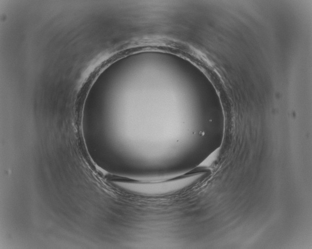 X0000071811312200607141600