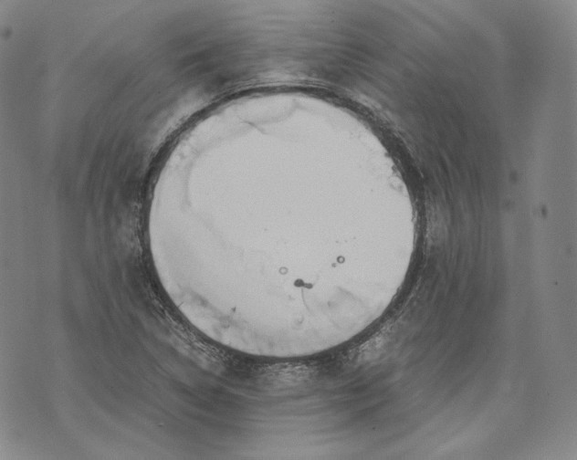 X0000071811314200607141600