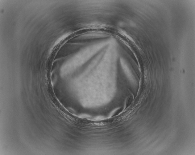 X0000071811315200607141600