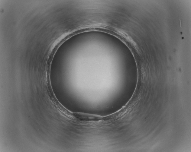 X0000071811316200607141600