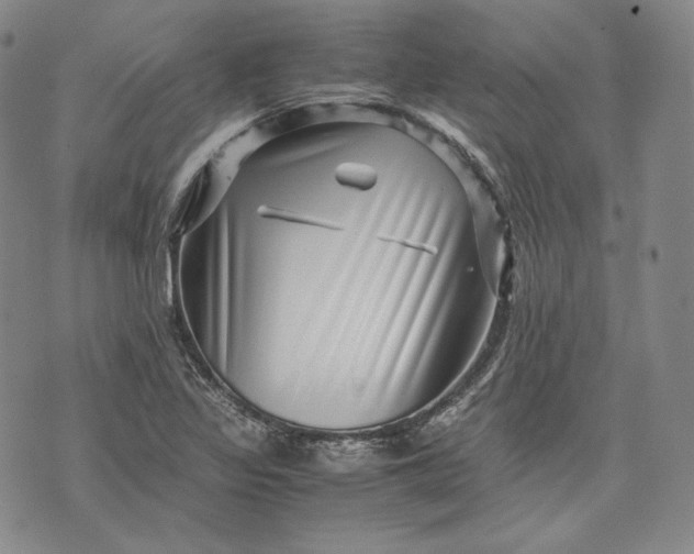 X0000071811317200607141600